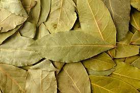 Bay Leaves - available at Amazing Creations Products . Grab yours for $3.00 today!